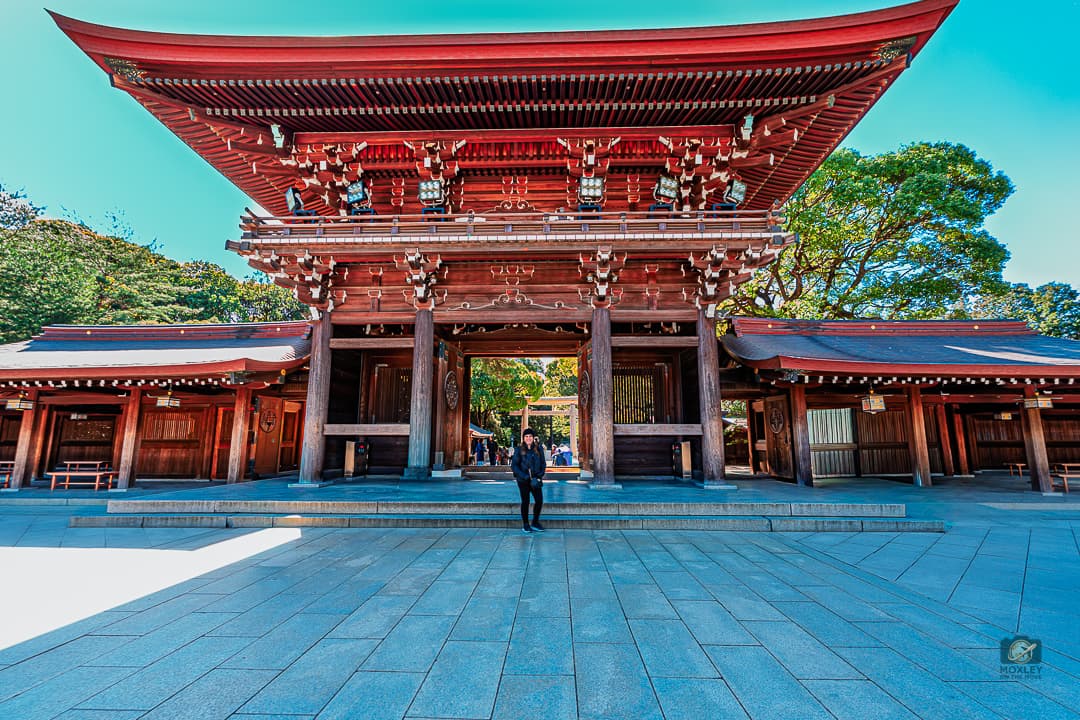 Japão não é outro país. É outro mundo.