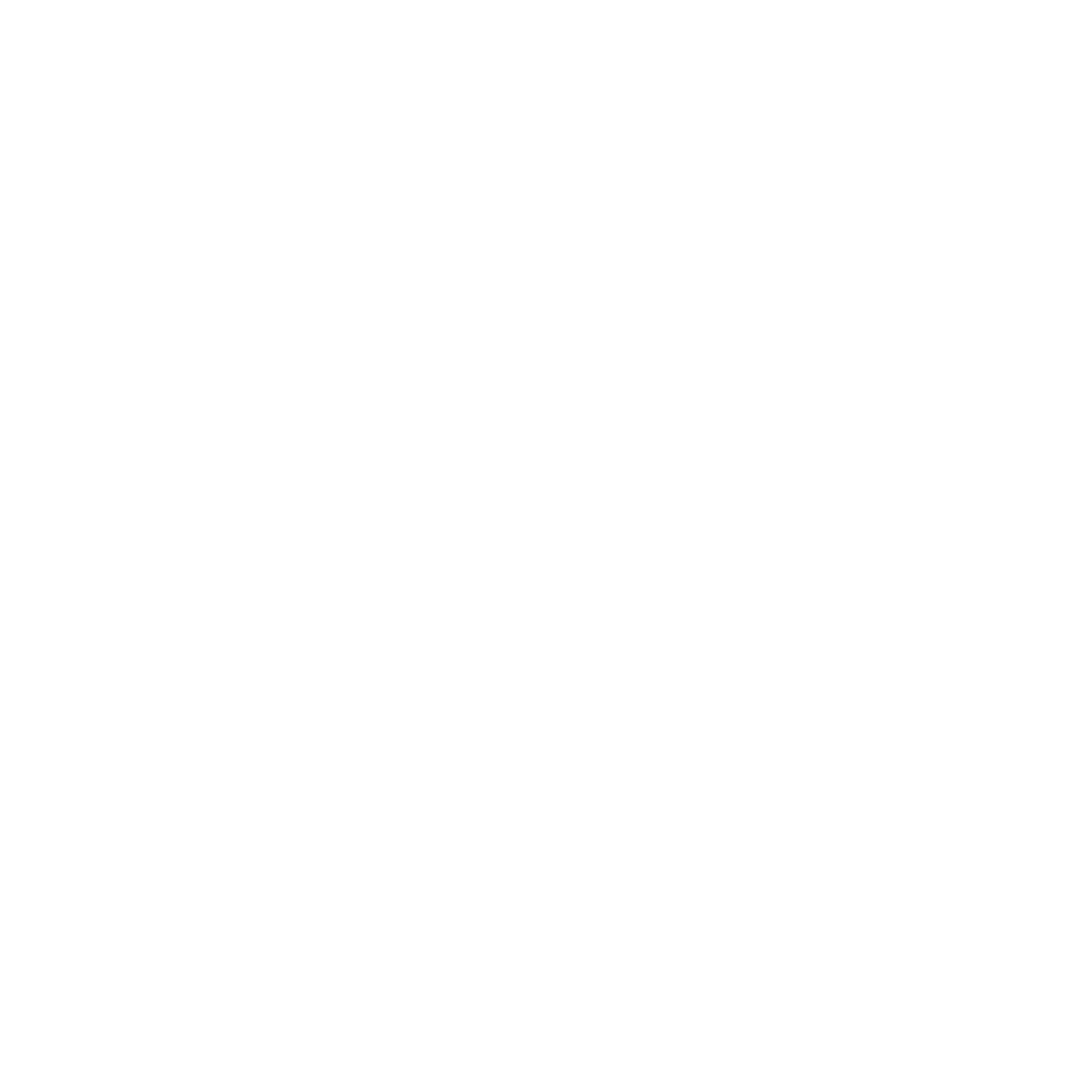 Brazilian Times