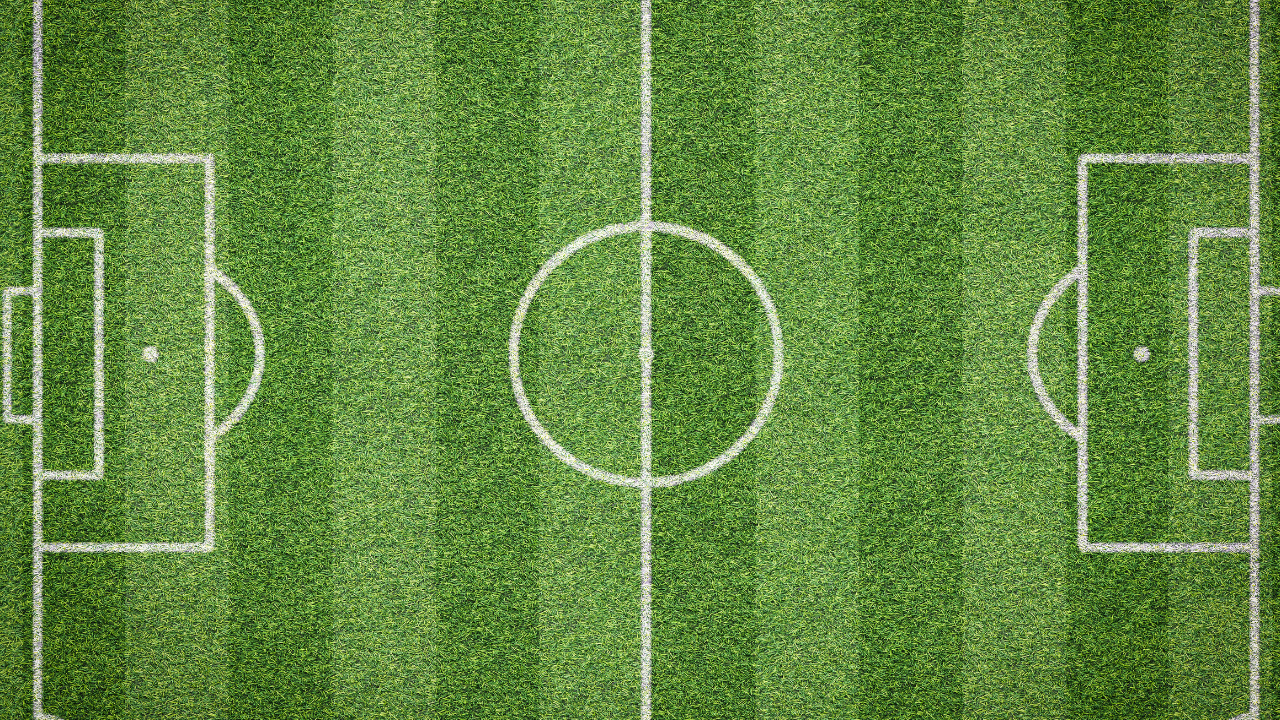 Copa do brasil: palmeiras perto da vaga