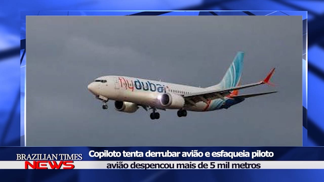 Imagem 6