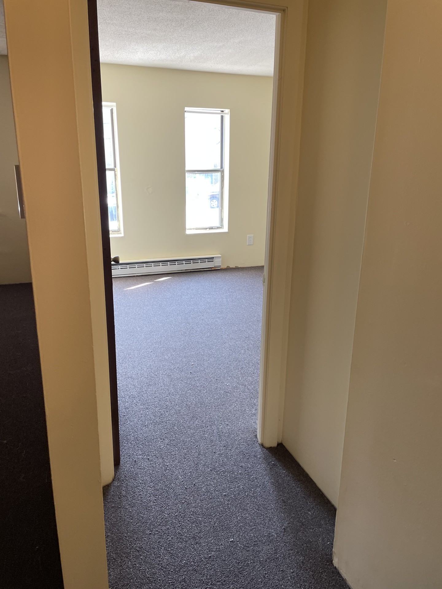 Framingham: apartamentos disponíveis! Studios, 1 quarto e 2 quartos